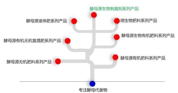 酵母已成为世界上研究最多的微生物之一,是人类唯一年产过百